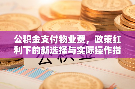 盐城公积金支付物业费，政策红利下的新选择与实际操作指南