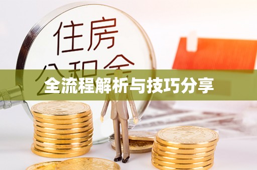 盐城全流程解析与技巧分享